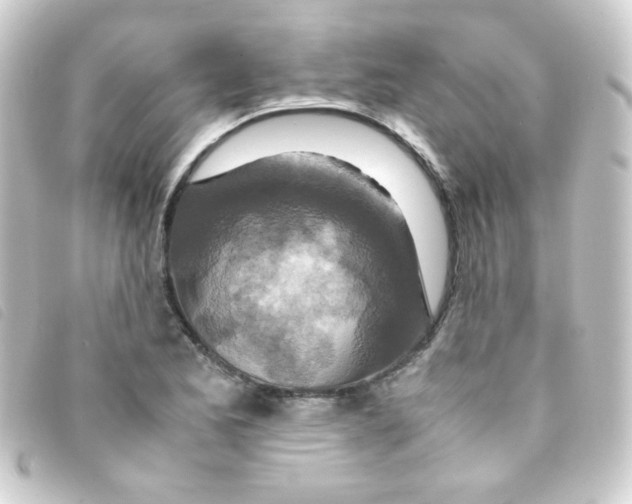 X0000093231173200710241230