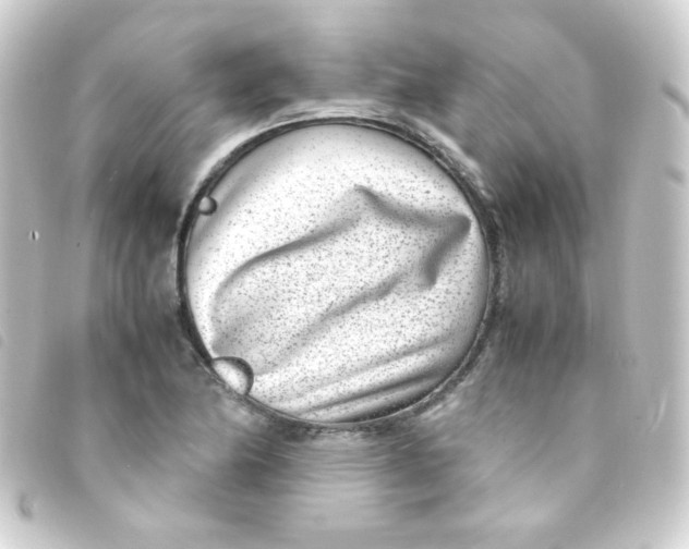 X0000093231174200710241230