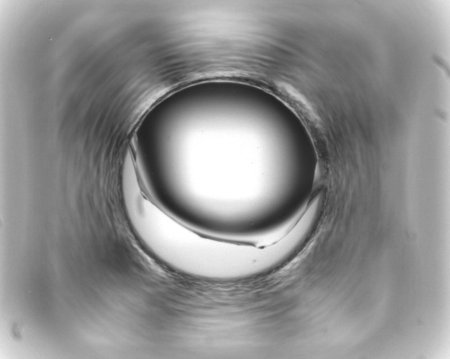 X0000093231177200710241230