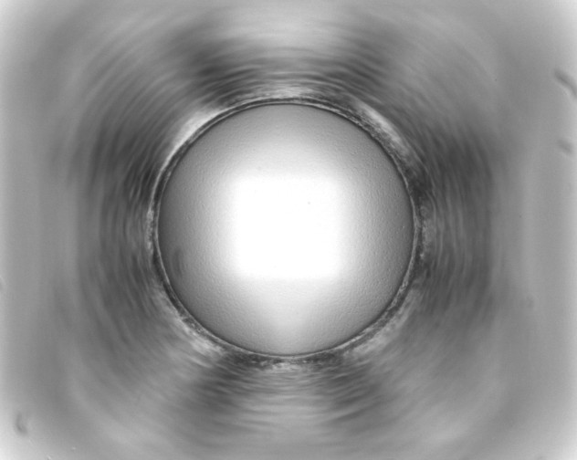 X0000093231178200710241230