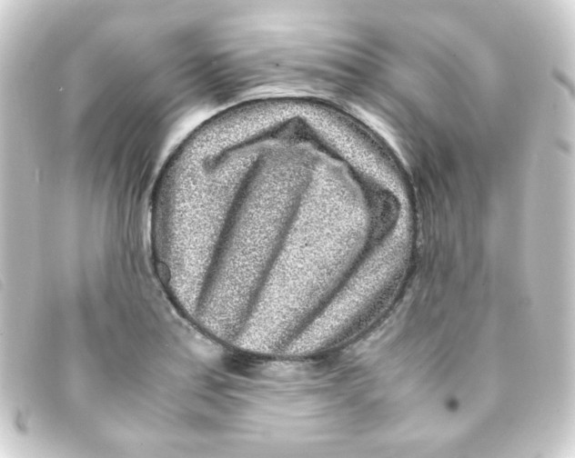 X0000093231179200710241230