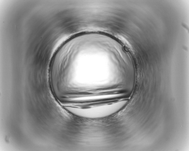 X0000093231183200710241230