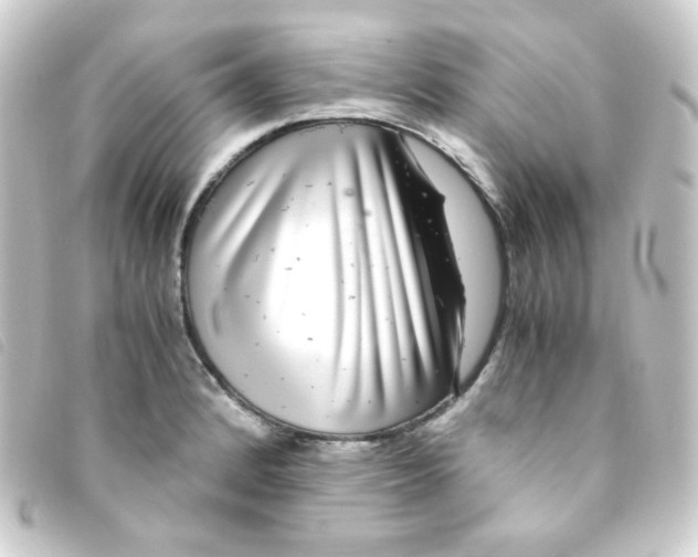 X0000093231184200710241230