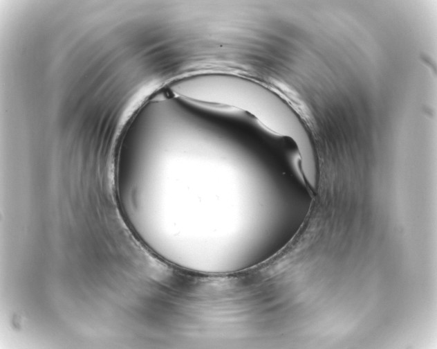 X0000093231188200710241230