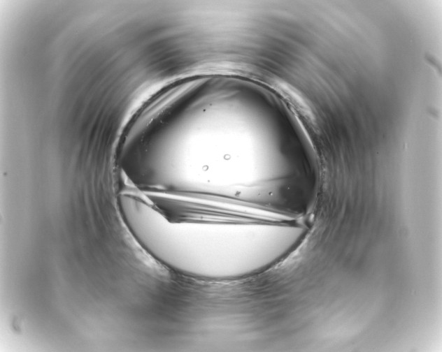 X0000093231192200710241230