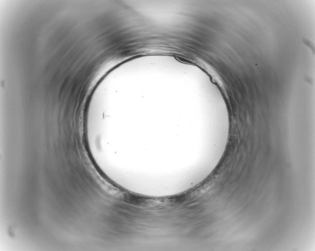 X0000093231195200710241230