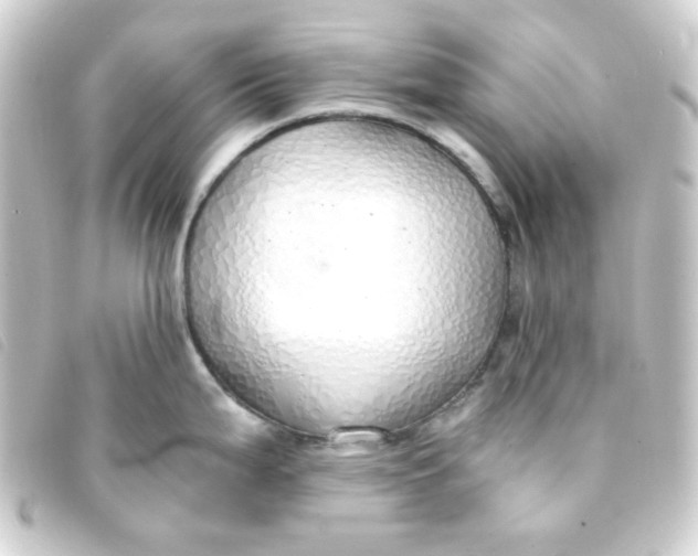 X0000093231199200710241230