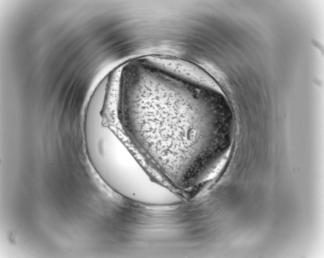 X0000093231200200710241229