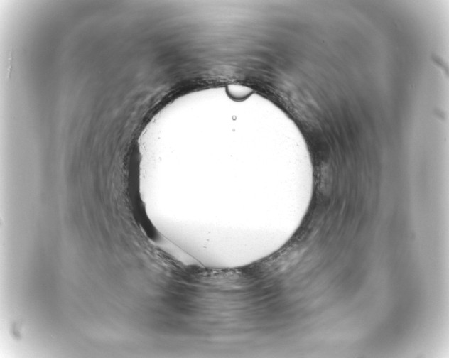 X0000093231201200710241229