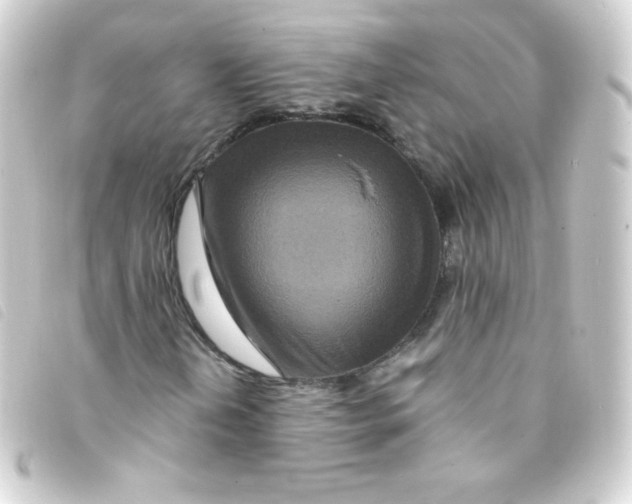 X0000093231202200710241229