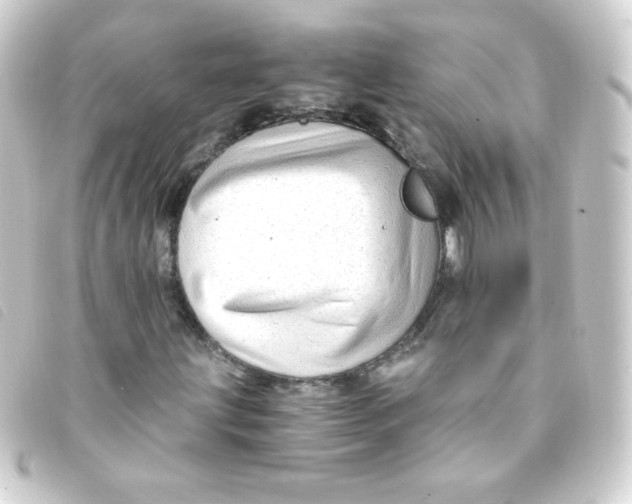 X0000093231203200710241229