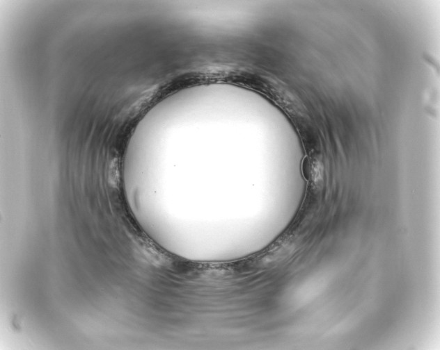 X0000093231204200710241229