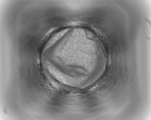 X0000093231206200710241229