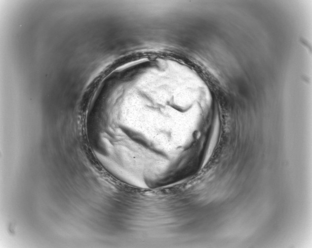 X0000093231208200710241229