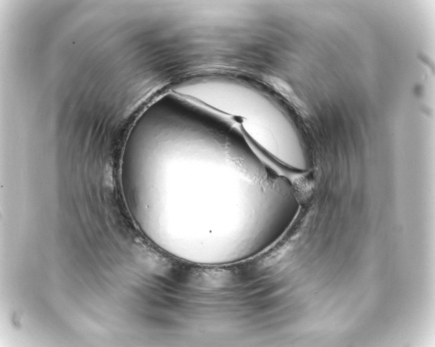 X0000093231209200710241229