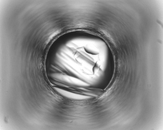 X0000093231210200710241229