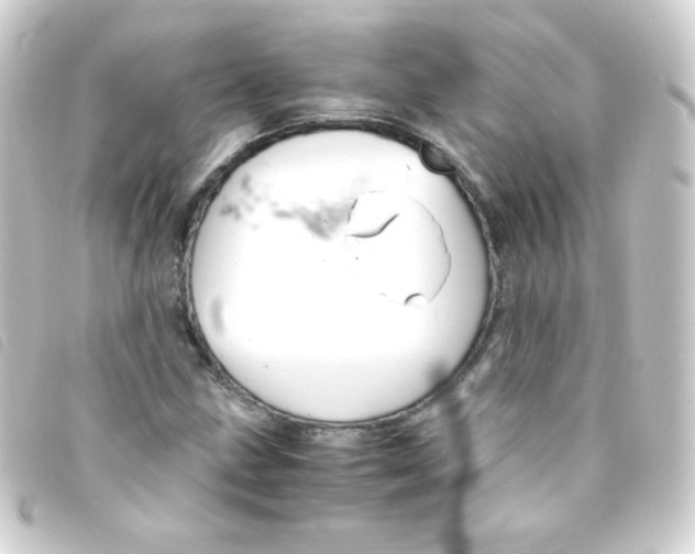 X0000093231211200710241229