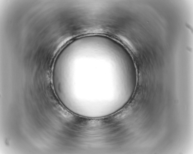 X0000093231212200710241229