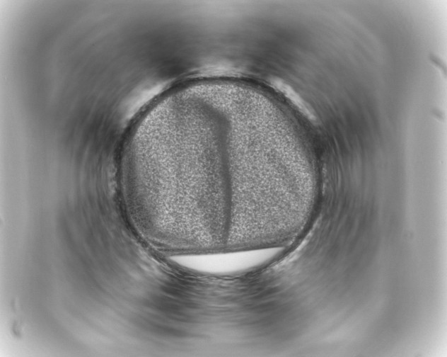 X0000093231213200710241229