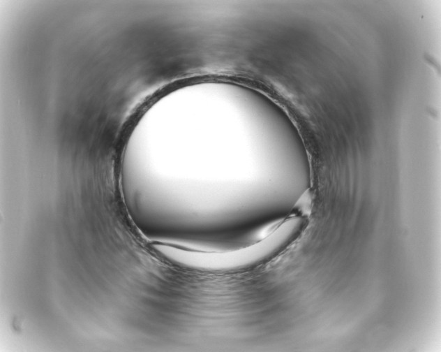 X0000093231214200710241229