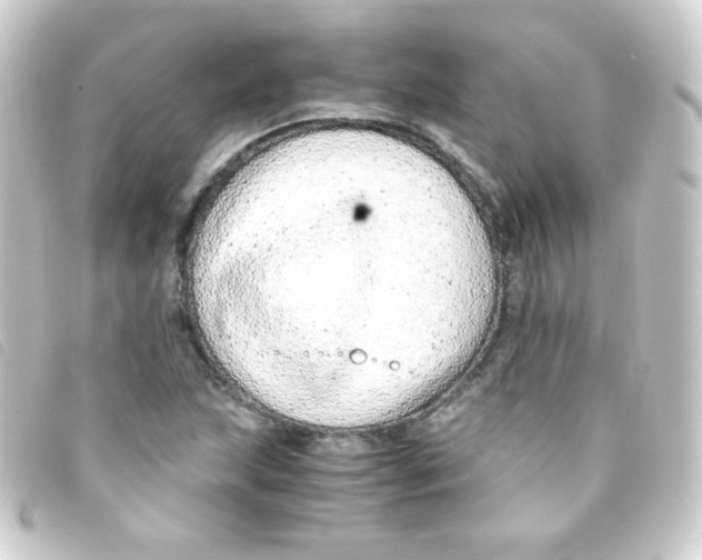 X0000093231215200710241229