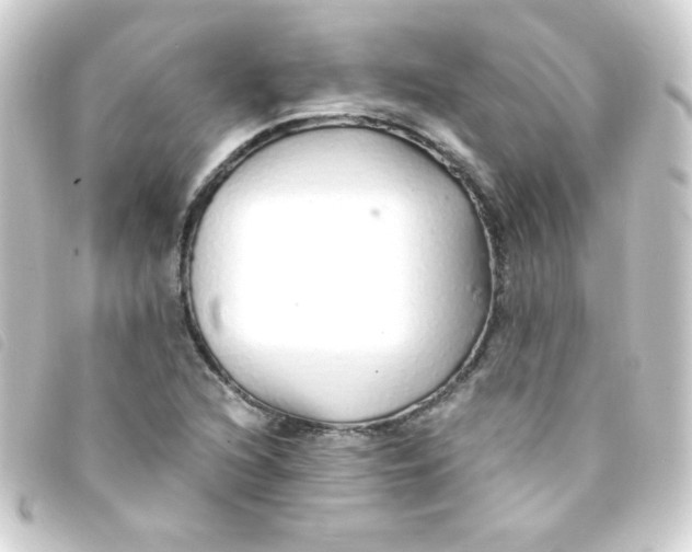 X0000093231216200710241229