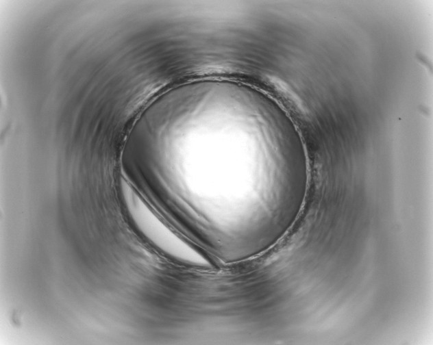 X0000093231217200710241229