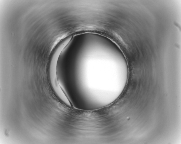 X0000093231218200710241229