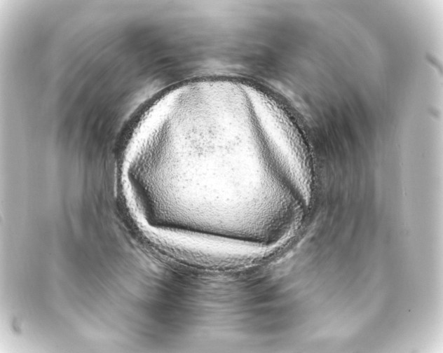 X0000093231219200710241229