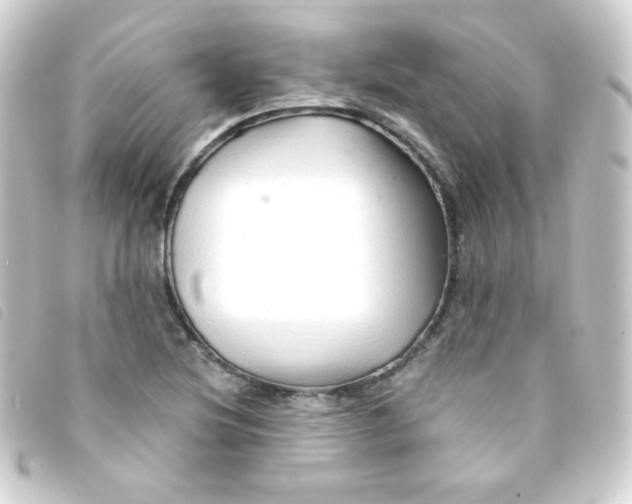 X0000093231220200710241229