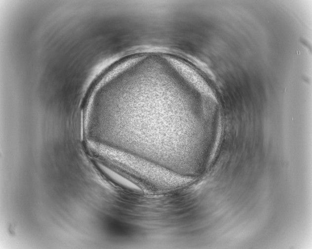 X0000093231223200710241229