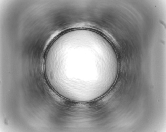 X0000093231224200710241229