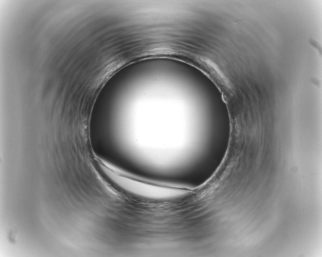 X0000093231225200710241229