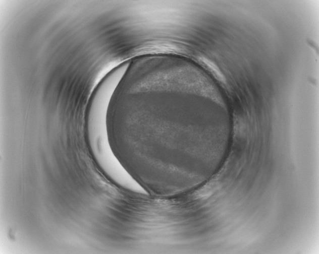 X0000093231226200710241229