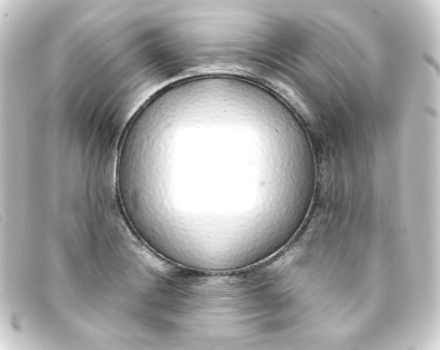 X0000093231228200710241229