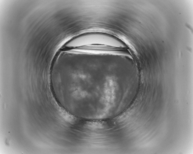 X0000093231229200710241229