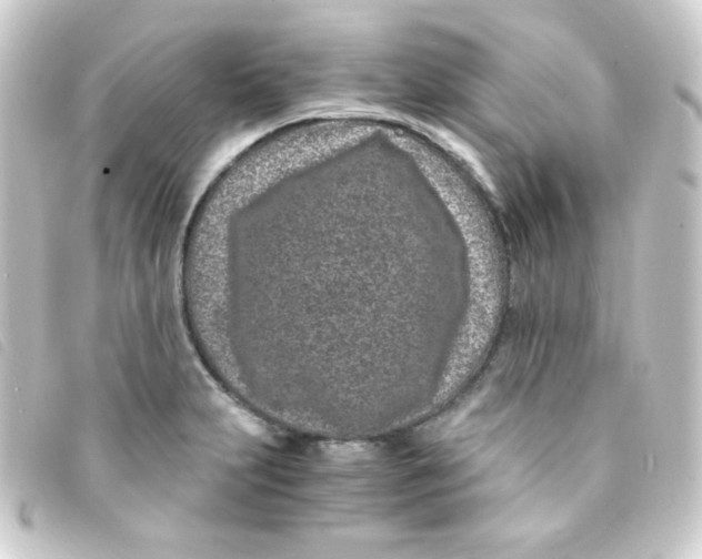 X0000093231231200710241229