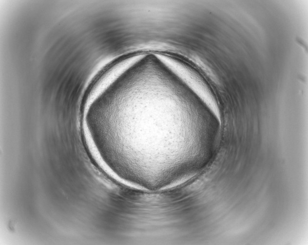 X0000093231232200710241229