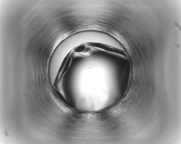 X0000093231234200710241229