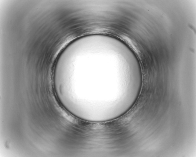 X0000093231235200710241229