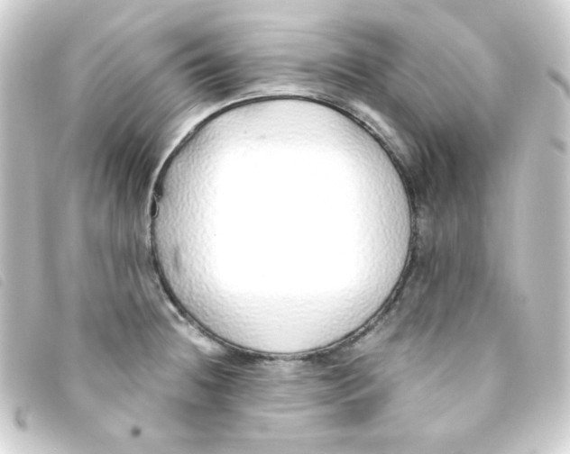 X0000093231236200710241229