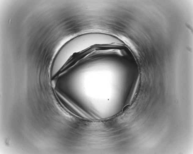 X0000093231238200710241229