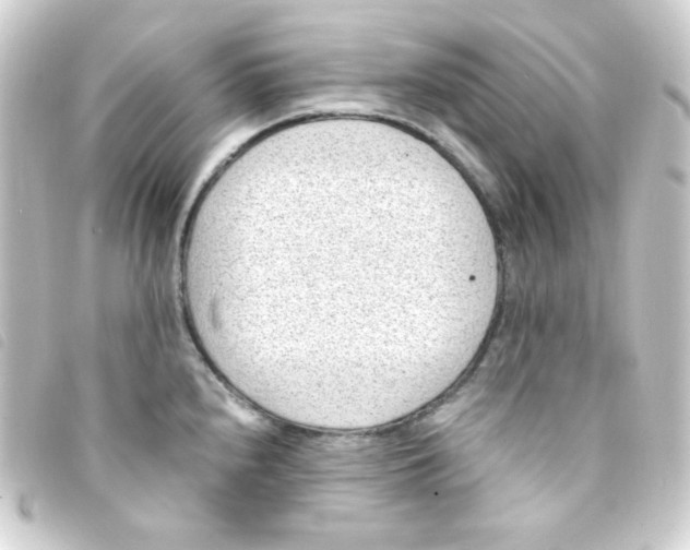 X0000093231240200710241229