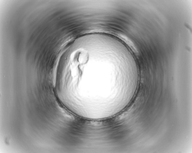 X0000093231241200710241229