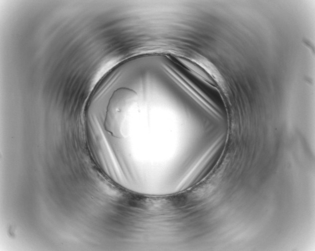 X0000093231242200710241229