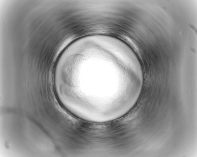 X0000093231243200710241229