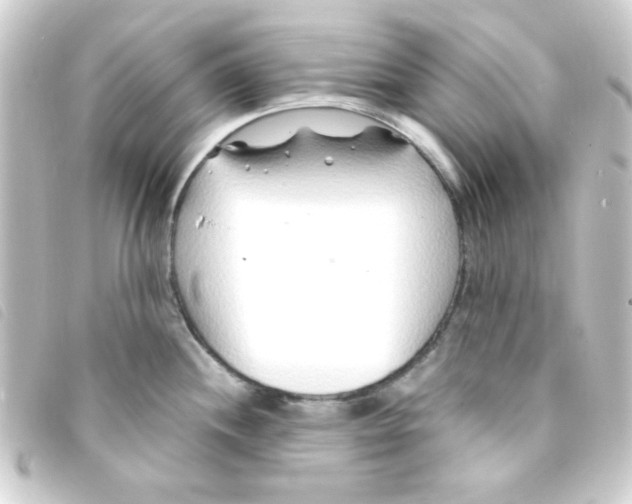 X0000093231244200710241229