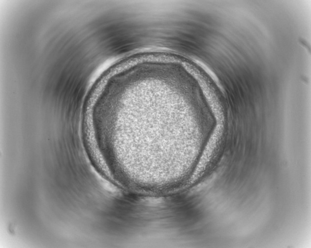 X0000093231245200710241229