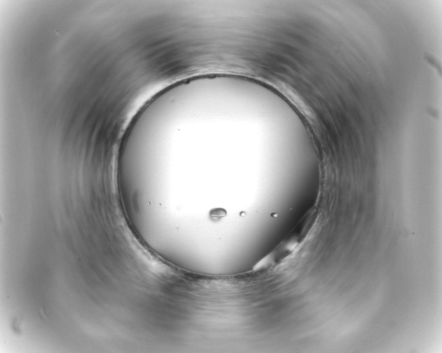 X0000093231246200710241229