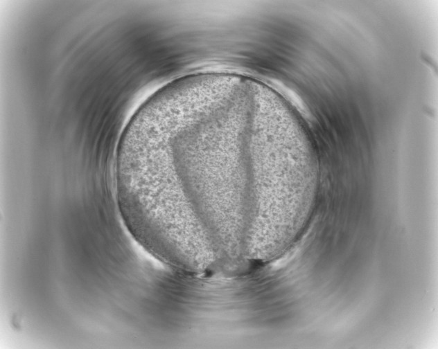 X0000093231247200710241229